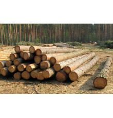 Бревно пиловочное (сосна) 140мм 3м